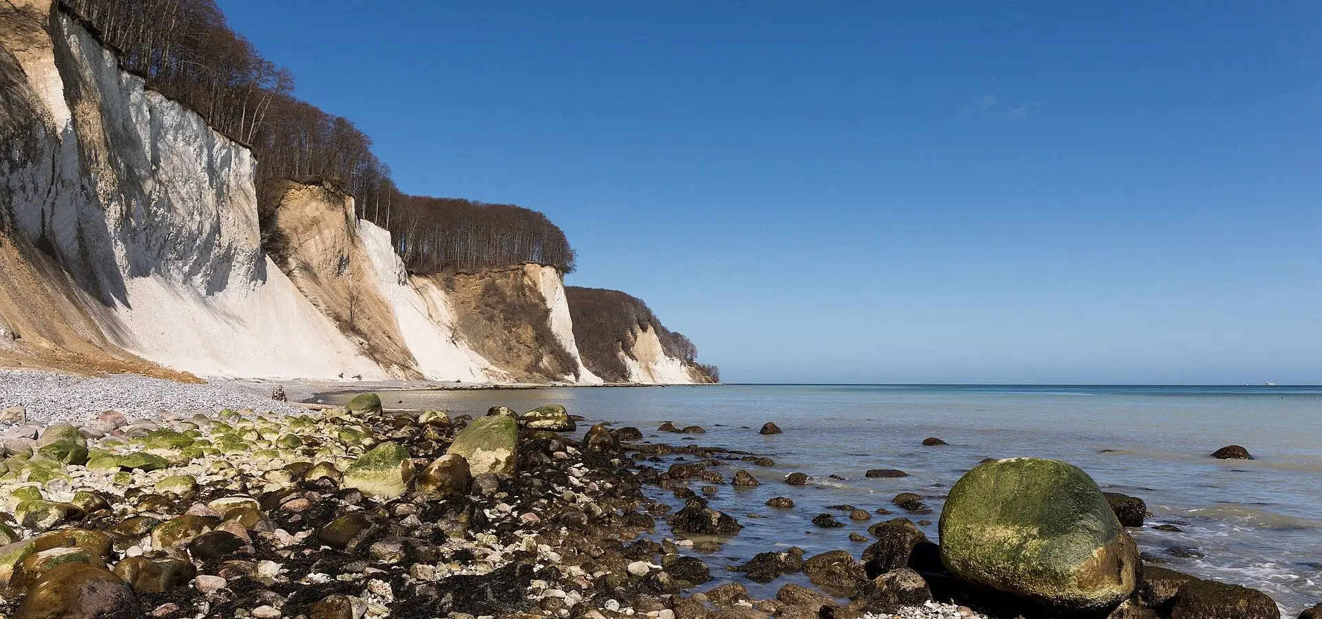 Die Kreidefelsen im Nationalpark Jasmund auf Rügen